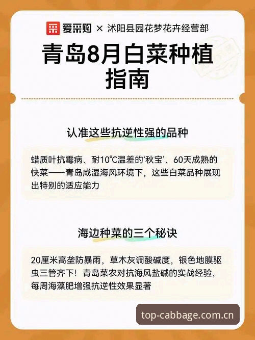 2026冠军白菜网体验完整指南：新手注册、下载与游戏全攻略