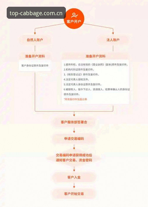 白菜网送彩金使用技巧 揭秘白菜网送彩金使用技巧:高手不愿透露的实战操作手册